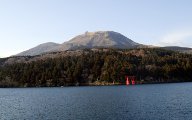 Hakone-Schrein-Torii