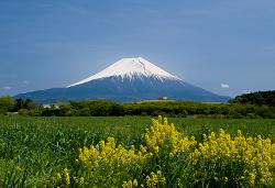 Der Fuji