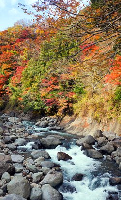 Bach im Herbst