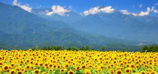 Minami-Alps-Nationalpark