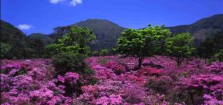 Unzen-Amakusa-Nationalpark