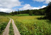 Wanderweg, Sommer