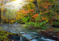 Oirase-Fluss