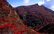 Unzen-Amakusa-Nationalpark im Herbst