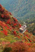 Seilbahn Unzen-Amakusa-Nationalpark