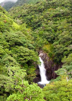 Wasserfall