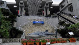 Churaumi Aquarium