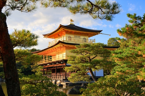 Tour Image