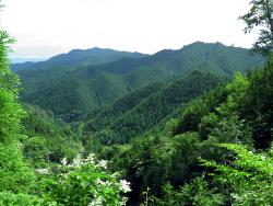 Ausblick vom Koya-san