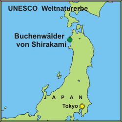 Shirakami Sanchi