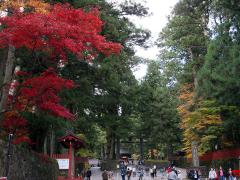 Toshogu-Schrein im Herbst